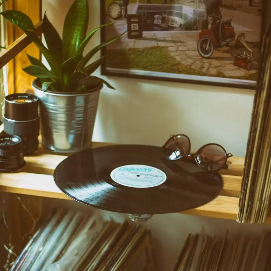 Come proteggere e pulire un disco in&nbsp;vinile